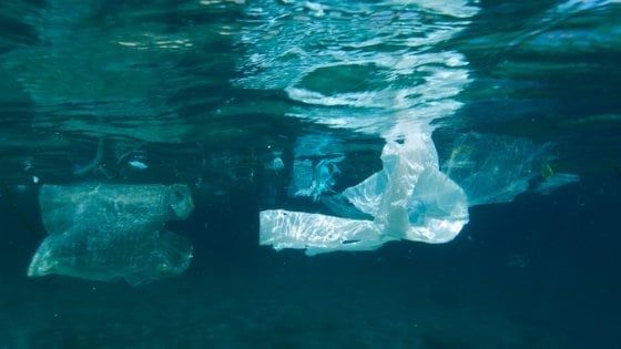 Far pagare i sacchetti di plastica funziona: nei mari inglesi diminuiti del 30%