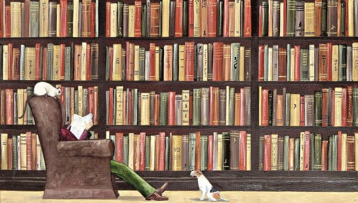 Biblioteca solo tu ci salverai