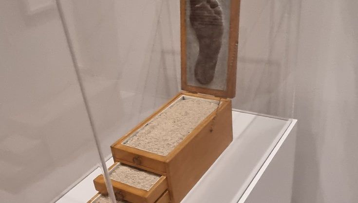 La bella e la mostra 