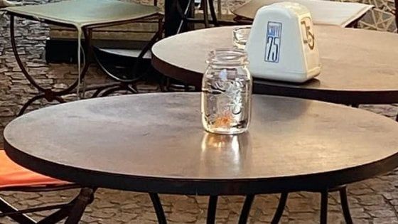Pesci come centrotavola in un bar di Varese: la protesta degli animalisti