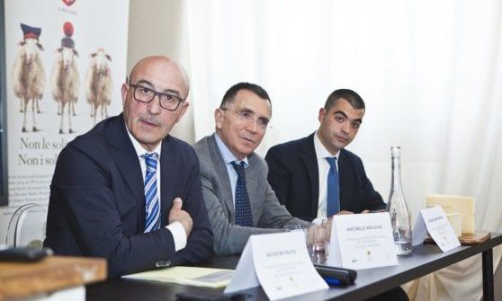 Nasce il progetto "3 Pecorini"