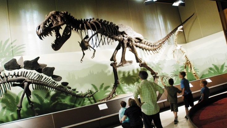 Il paleontologo Giovanni Pinna: "C’è bisogno di musei per costruire l'identità"