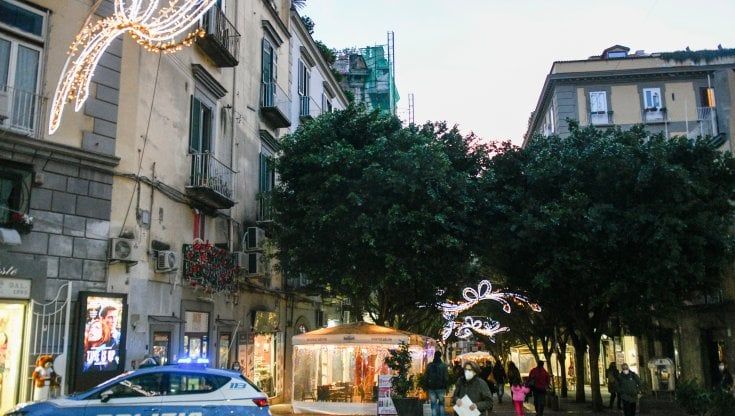 Napoli, via Chiaia mette al bando gli uccelli: "Sono troppi, guano e cattivi odori"