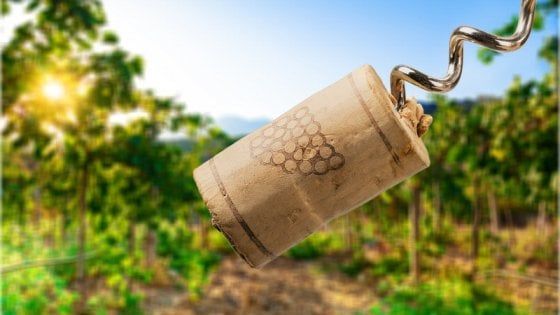 Vino, la tecnologia che dice stop al sentore di tappo