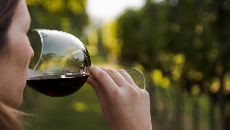 Enoturismo sempre più al femminile: +12% di prenotazioni in cantina