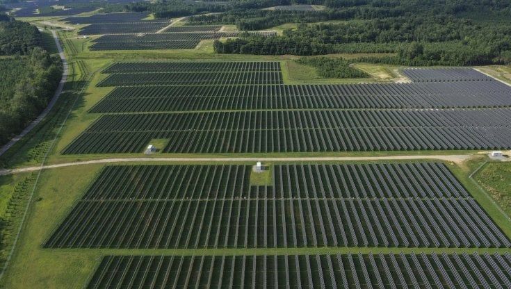Energia dalle barbabietole: dieci impianti le useranno per produrre biometano