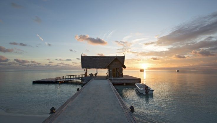 Biodiversità targata Maldive