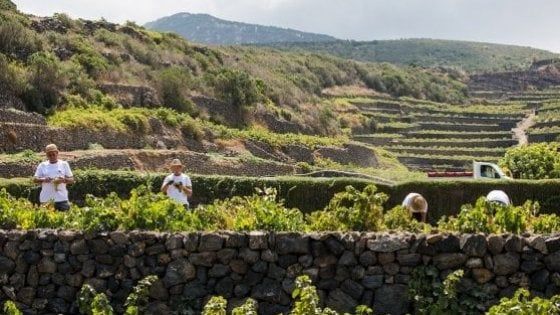 Sull'isola figlia del vento, tra fatica, panorami e vitigni unici