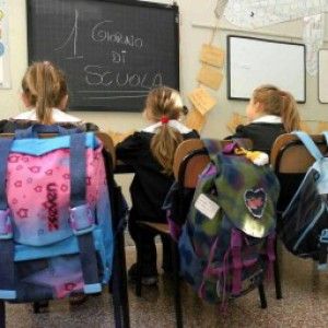 "Non comprende la disabilit&agrave;"<br />Bernini querelato da Mantelli
