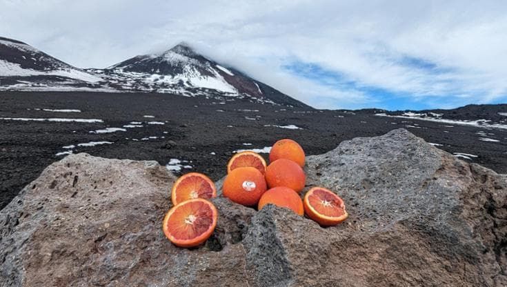 Quel rosso che accende tavola e calici: l’Arancia dell’Etna conquista cucina, dolci e cocktail