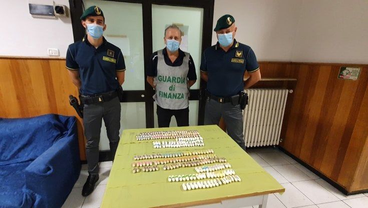 Bologna, mezzo chilo di eroina nel bagaglio: arrestata all'autostazione