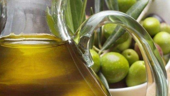 In Puglia l'invasione dell'olio straniero. Coldiretti: "Nei depositi pronti 9 milioni di chili"