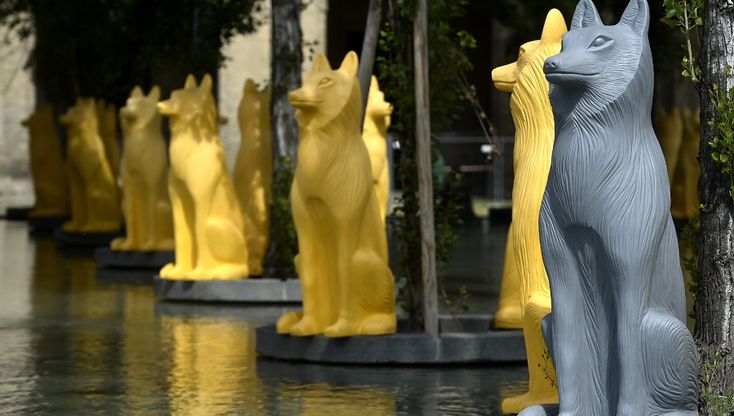 Parma 360 porta i lupi in piazza della Pace
