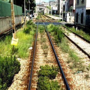 Cumana, prati e sterpaglie sui binari. "Così siamo in pericolo"