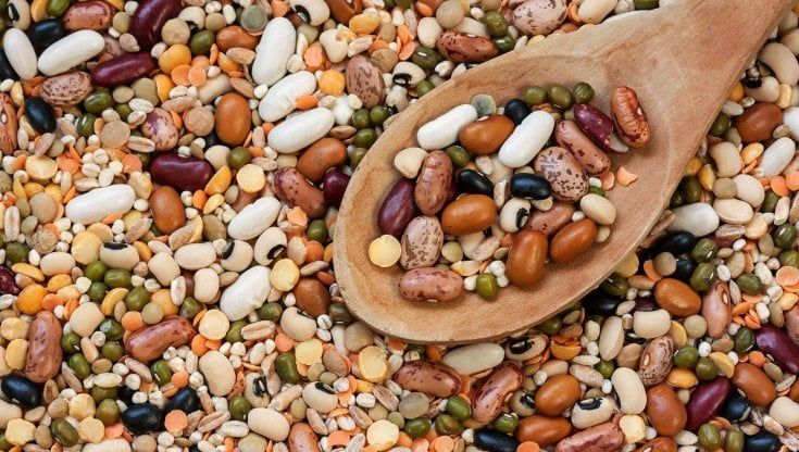Fagioli, piselli & co: perché consumare più legumi fa bene al Pianeta