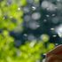 Allergie e naso ostruito, quando c’entrano i turbinati