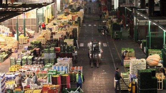 Milano, nuovi arresti per 'ndrangheta. La Dda: "Controlla il commercio di frutta e verdura all'Ortomercato"