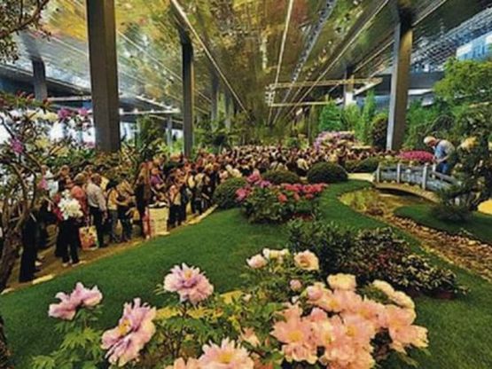 Euroflora 2017, così Genova cambierà l'expo dei fiori 