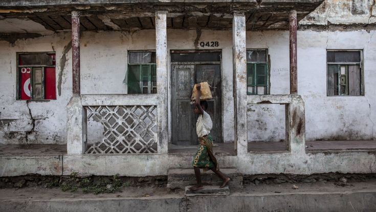Il nuovo virus del Mozambico