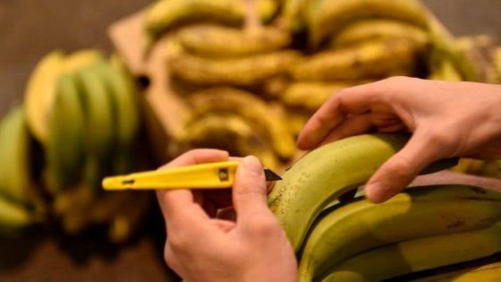 Cucine del Mondo: e la tarte tatin (creola) si fa con le banane