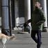 Coronavirus,  i cani ci conoscono dentro e fuori casa fiutano l’emergenza