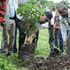 In Etiopia piantati più di 350 milioni di alberi in un giorno