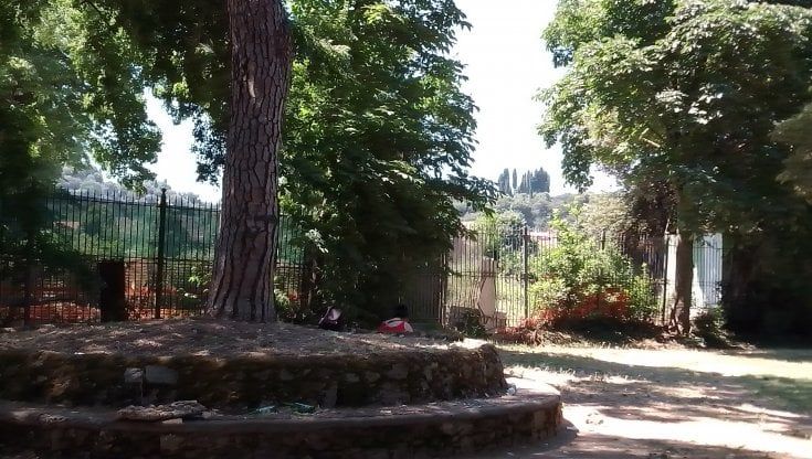 Il parco dimenticato, viaggio alle Cascine tra erba alta e droga