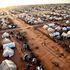 Kenia, chiuse le porte dei campi profughi: cacciati centinaia di migliaia di somali 