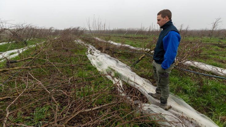 Dall'alluvione alla ripartenza: la Coop porta 2 milioni agli agricoltori romagnoli