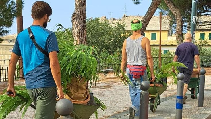 Genova, dalle serre di San Nicola a Castello d’Albertis. Centinaia di piante trasferite per la riqualificazione di valletta Carbonara
