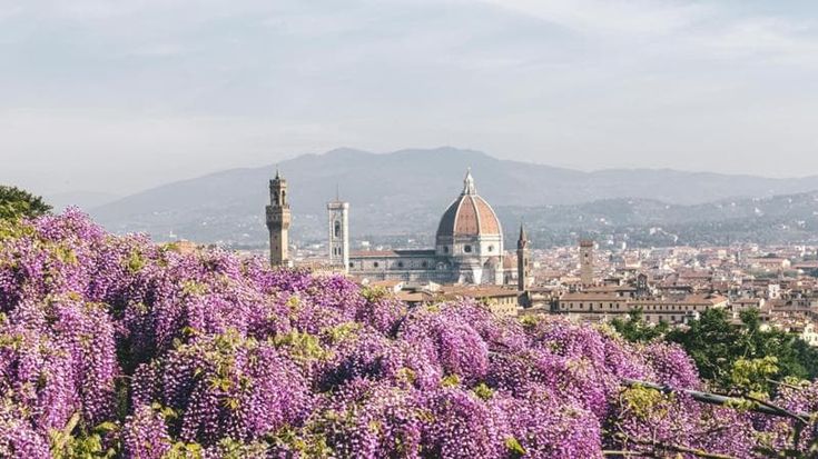 "Sotto il glicine", la fioritura viola di Villa Bardini pronta agli scatti del concorso fotografico