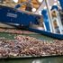 Economia circolare: la sfida europea passa da risorse, innovazione e competenze