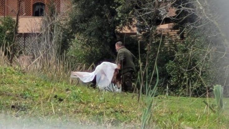 Uccide una pecora a bastonate in giardino davanti ai bambini, lo shock dei vicini di casa: "I belati erano strazianti"