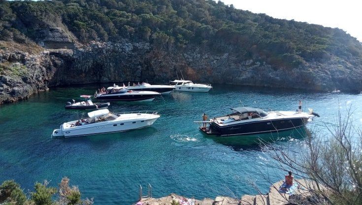 Il paradiso protetto di Giannutri assediato dai motoscafi, la denuncia di Legambiente  