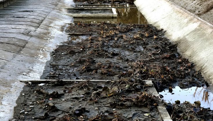 Ex Eridania, fontana in manutenzione e polemiche