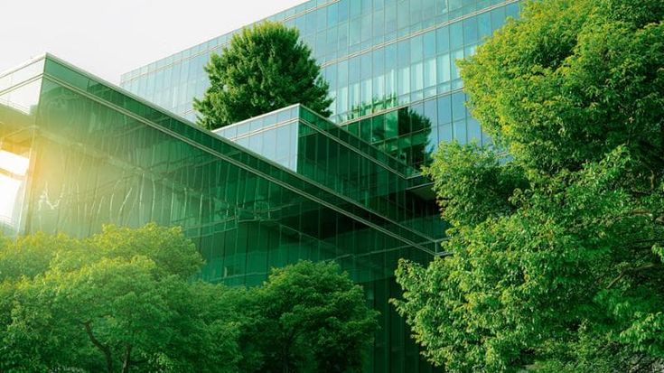 Annullare le emissioni: l’obiettivo di Polimi GSoM per le sue attività di formazione
