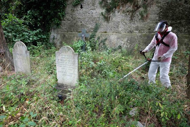 Staglieno, i volontari nella giungla delle tombe abbandonate