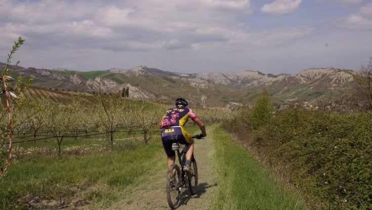 Scoprire l'Emilia-Romagna a piedi o in bici: otto itinerari tra Imola e Faenza