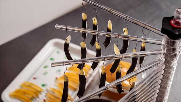 Il cioccolato solidale di Cristina Quattrone: dalla Calabria al Madagascar