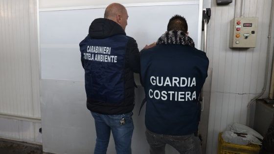 Acireale, calce per edilizia nel pesce, acqua inquinata in stabilimento: sequestro alla Jonica Pesca