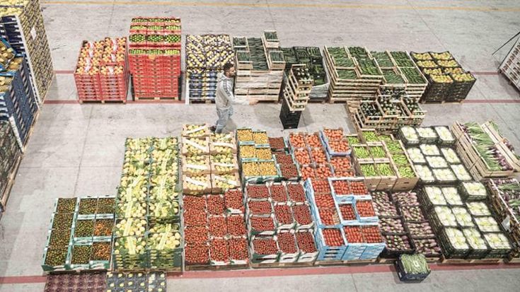 Ortomercato, grossisti in protesta: “Problemi relativi a logistica e canoni d’affitto”