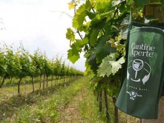 "Cantine Aperte a San Martino": in Campania alla scoperta del vino nuovo