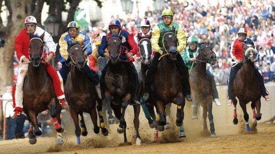 Cavalli dopati al Palio di Asti, dal processo nuovi sospetti: indagine su due casi all'edizione 2018