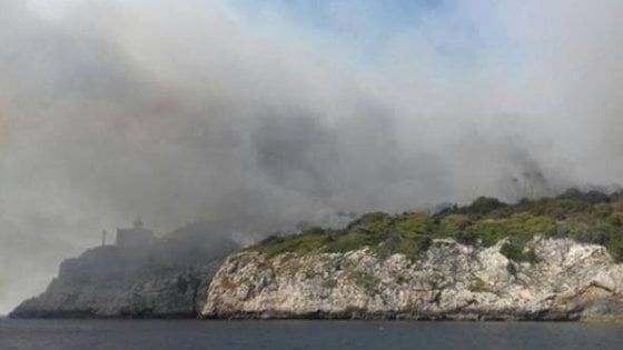 Roghi alle isole Tremiti, arrestato agente polizia locale: fermato mentre appiccava il fuoco