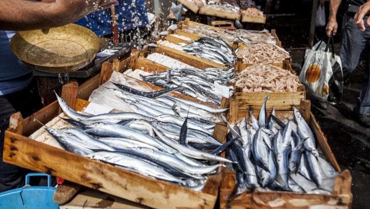 Tiroide, giornata mondiale: cosa mangiare (e cosa limitare) per tenerla in salute