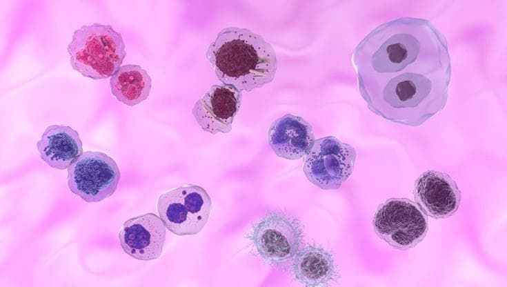 Tumori del sangue: trovata una variante genetica protettiva