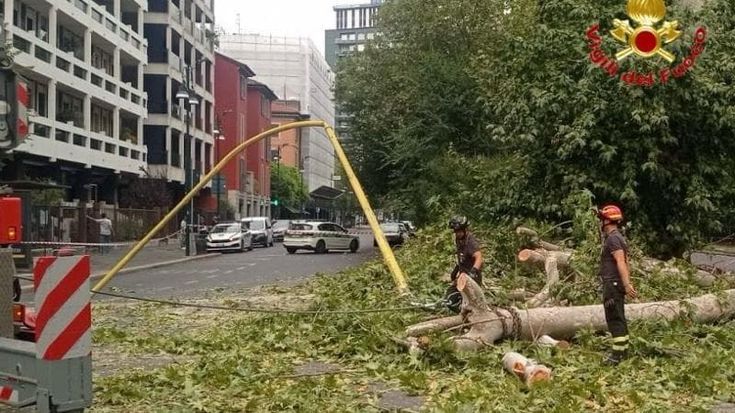 Ramo si stacca da un albero e colpisce un’auto tra via Canonica e viale Elvezia: passeggeri illesi
