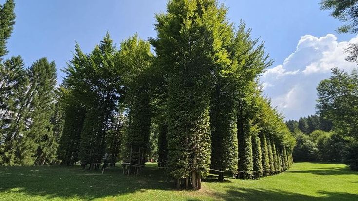 Arte e paesaggio in un tutt’uno. Dal Trentino alla Sicilia, i musei all’aperto più belli d’Italia