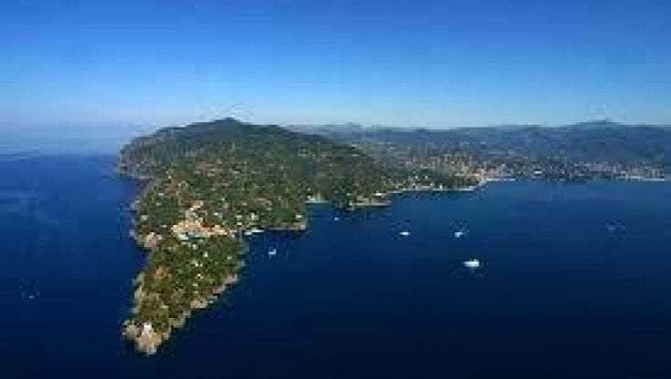 Parco di Portofino, carcasse e ossa di animali lungo i sentieri. L'allarme del comitato a favore del Parco nazionale: "Fenomeno da non sottovalutare"