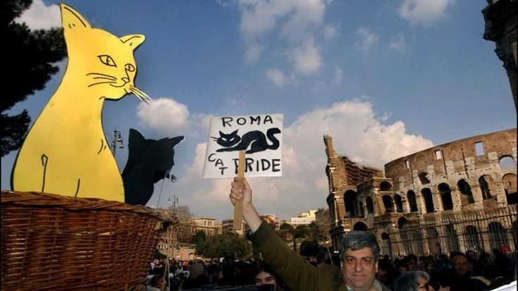 Le gattare, i canari